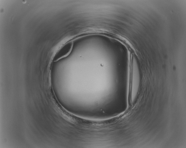 X0000076351371200610161748