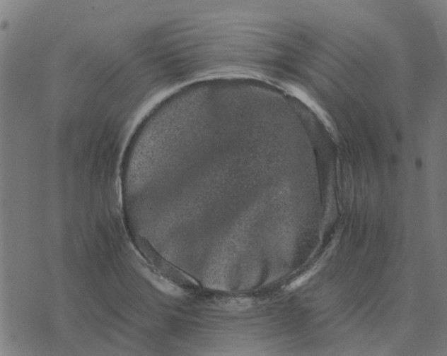 X0000076351372200610161748