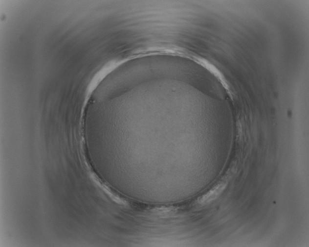 X0000076351373200610161748