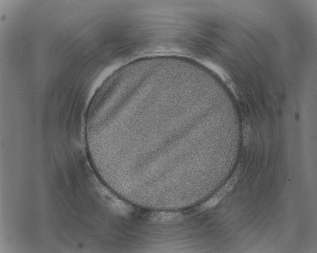 X0000076351374200610161748