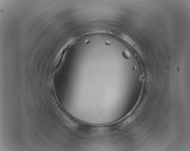 X0000076351377200610161748