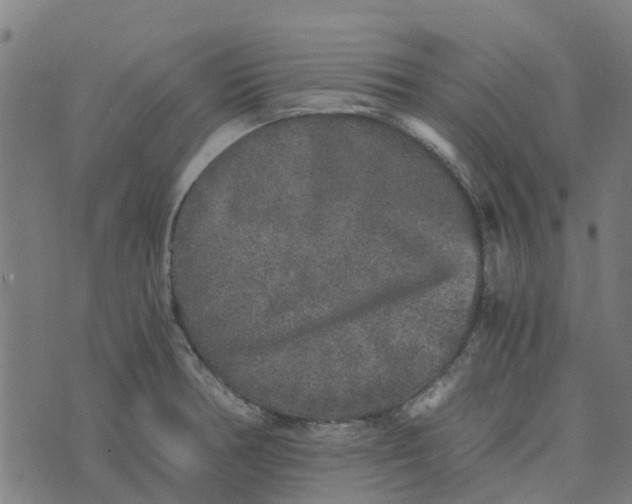 X0000076351378200610161748