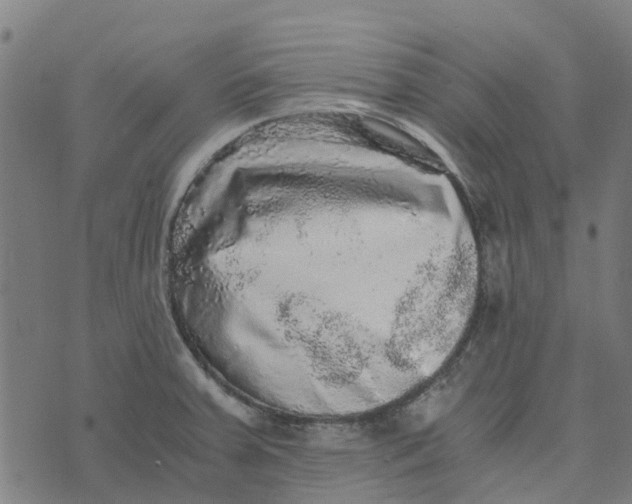 X0000076351379200610161748