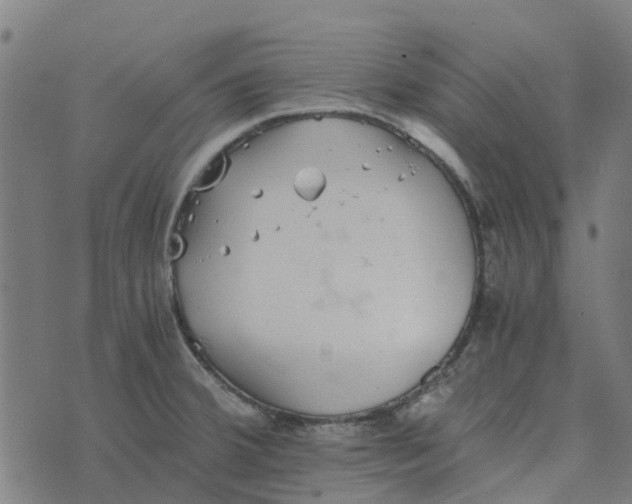 X0000076351380200610161748