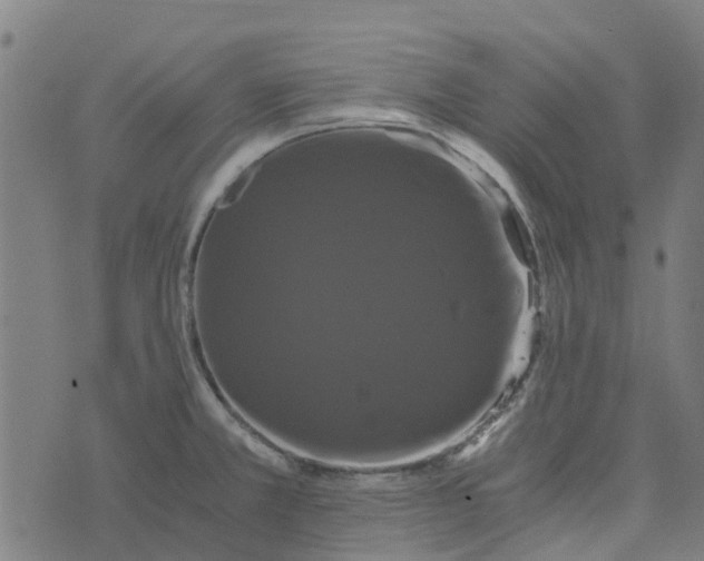 X0000076351381200610161748