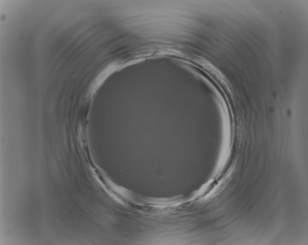 X0000076351385200610161748