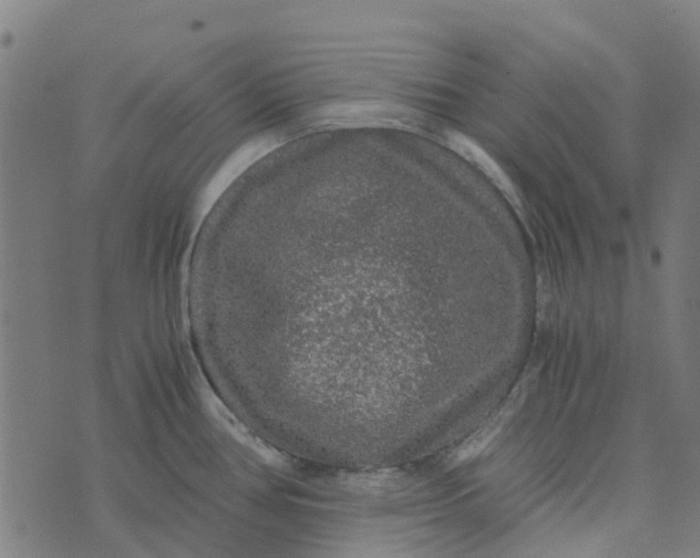 X0000076351386200610161748