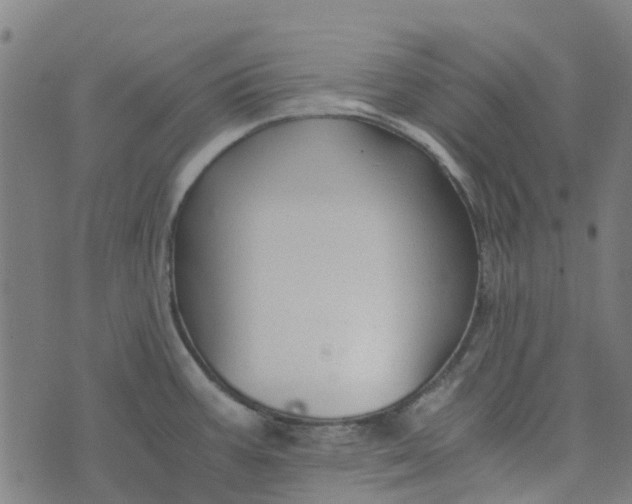 X0000076351387200610161748