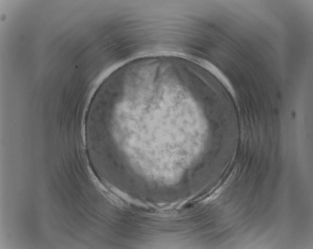 X0000076351388200610161748