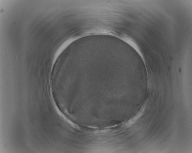 X0000076351389200610161748