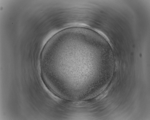 X0000076351391200610161748