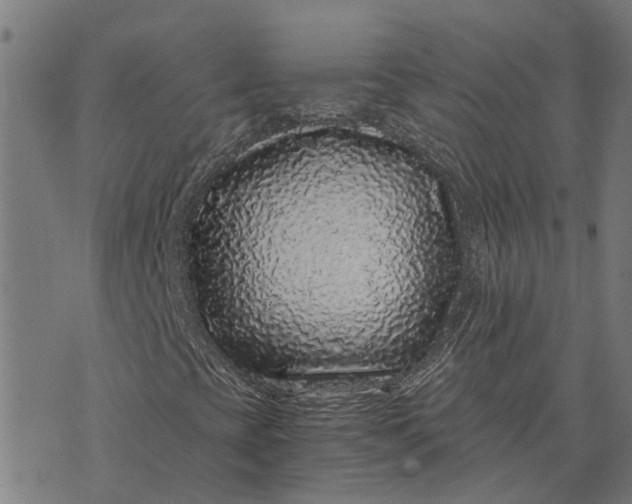 X0000076351393200610161747