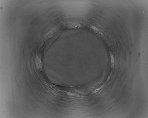 X0000076351394200610161747