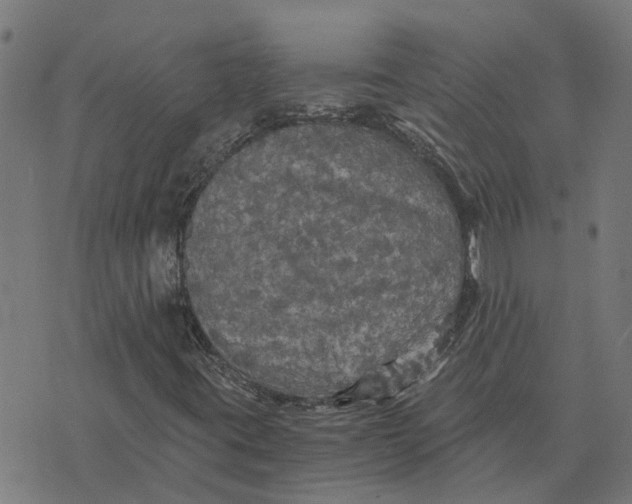 X0000076351395200610161747