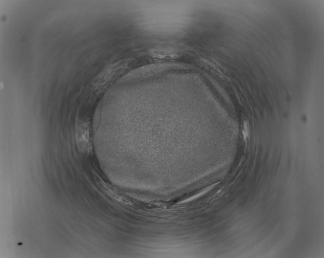 X0000076351396200610161747