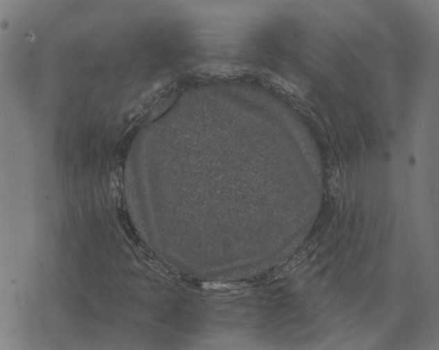 X0000076351397200610161747