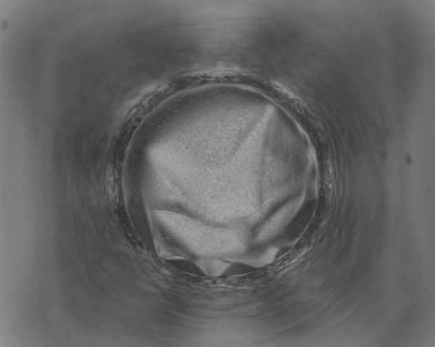 X0000076351398200610161747