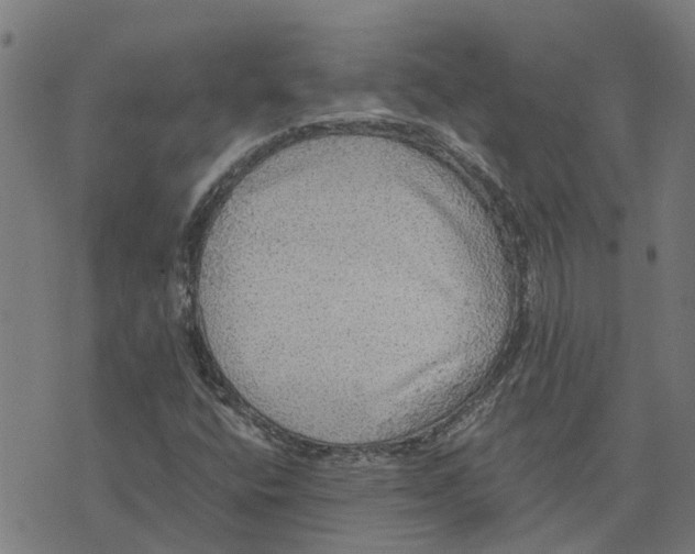 X0000076351400200610161747