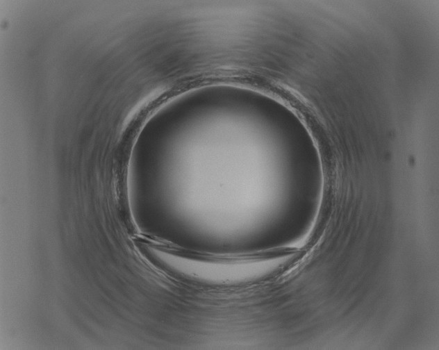 X0000076351402200610161747