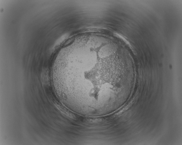 X0000076351403200610161747