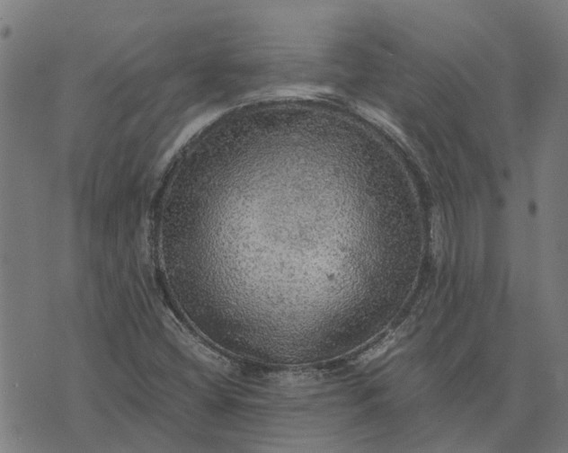 X0000076351404200610161747