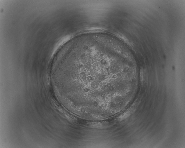 X0000076351405200610161747