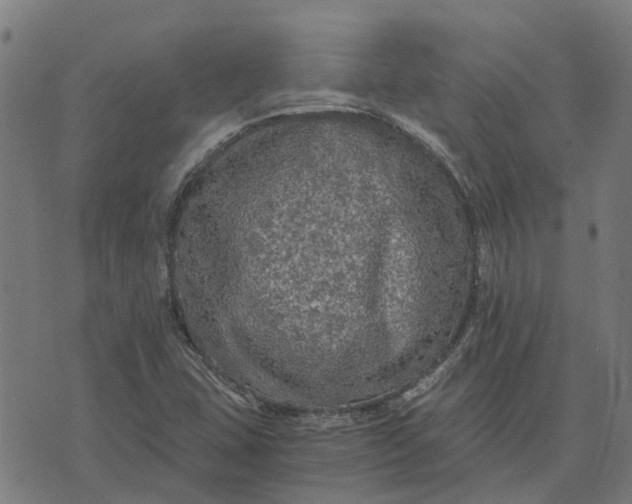 X0000076351407200610161747