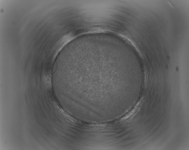 X0000076351409200610161747