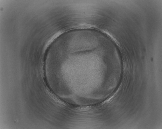 X0000076351410200610161747