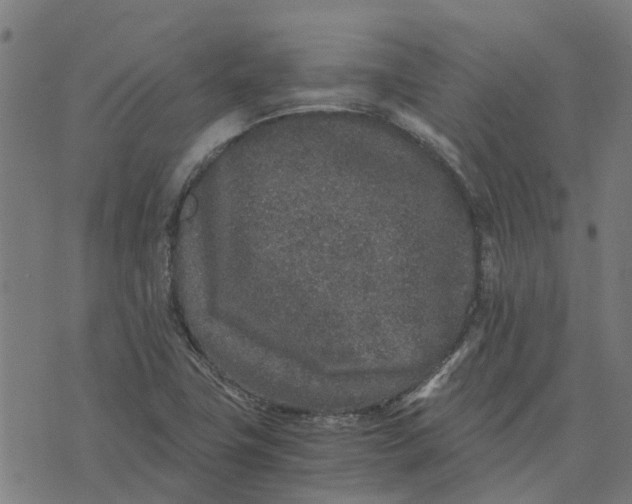 X0000076351411200610161747