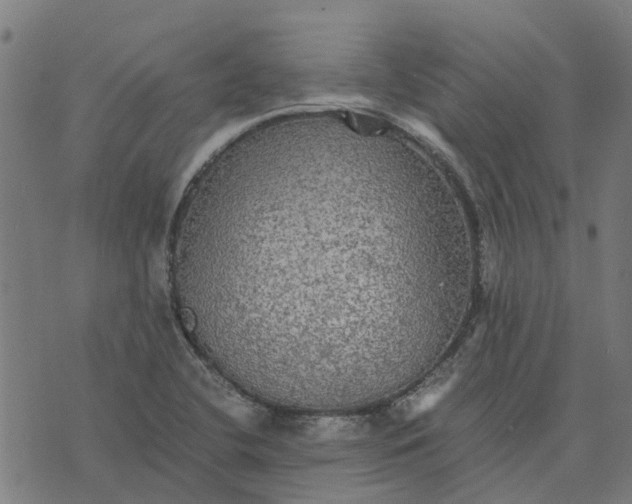 X0000076351412200610161747