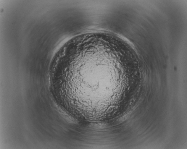 X0000076351415200610161747