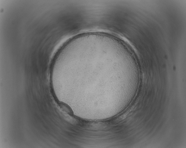 X0000076351416200610161747