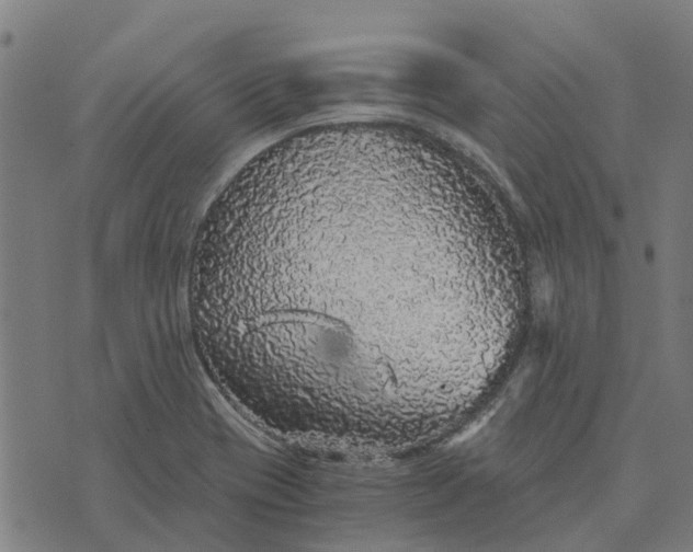 X0000076351417200610161747