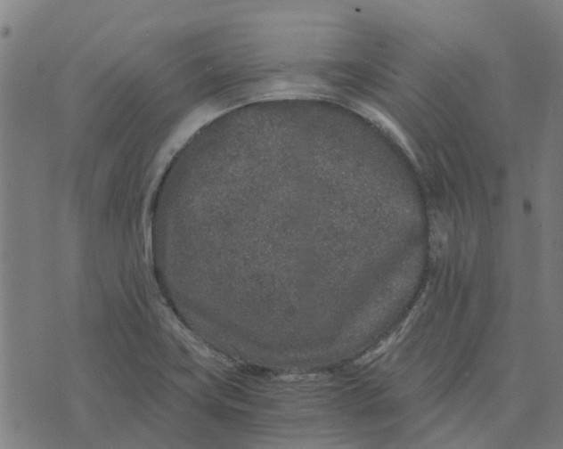 X0000076351419200610161747