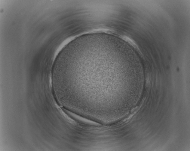 X0000076351420200610161747