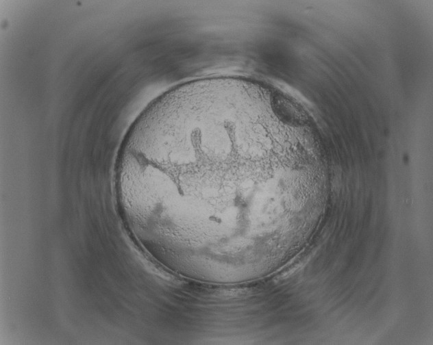 X0000076351423200610161747