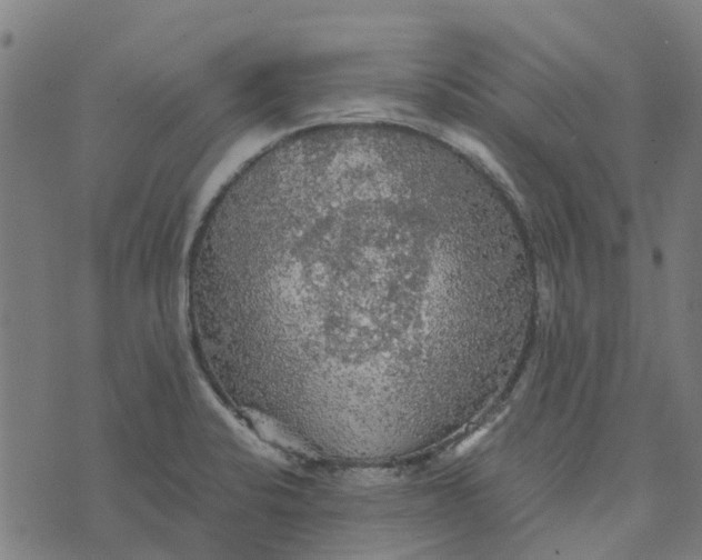 X0000076351424200610161747