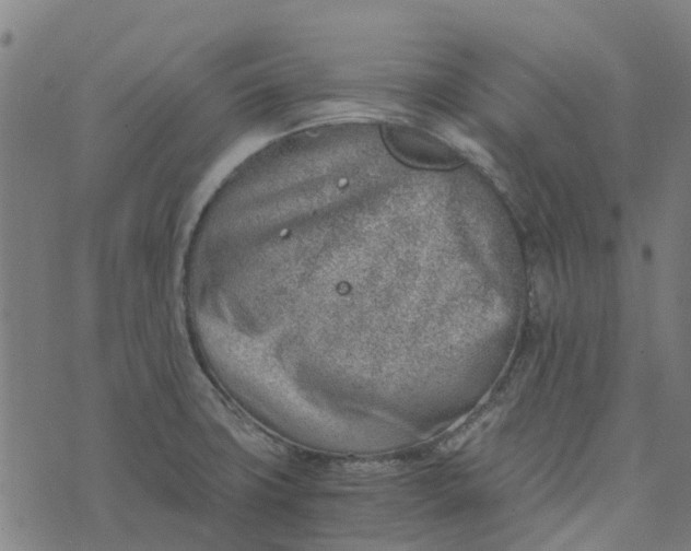 X0000076351427200610161747