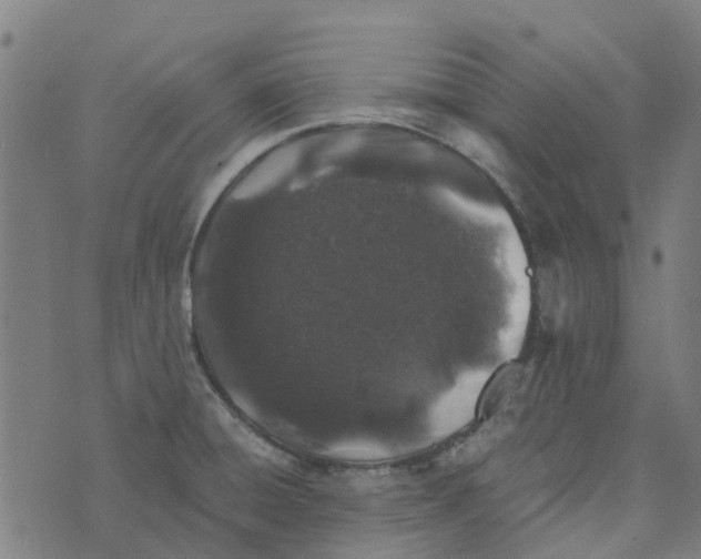 X0000076351428200610161747