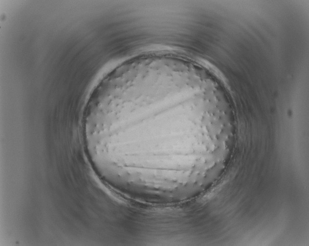 X0000076351429200610161747