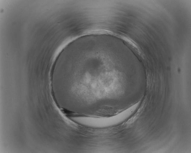 X0000076351430200610161747