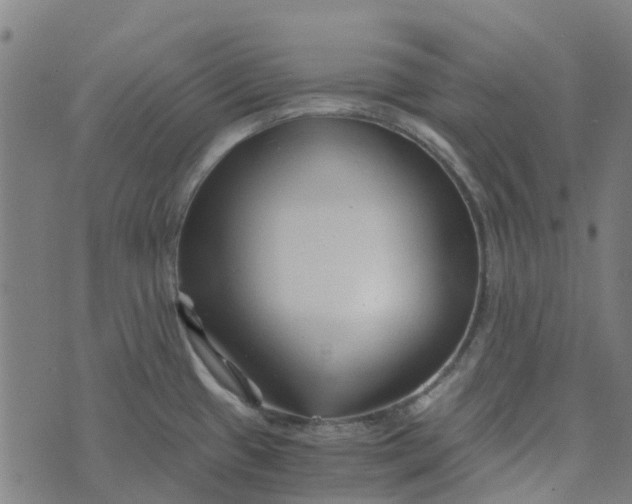 X0000076351433200610161748