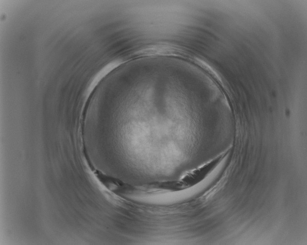 X0000076351434200610161748