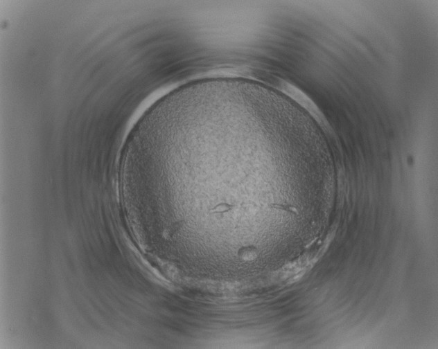 X0000076351436200610161748