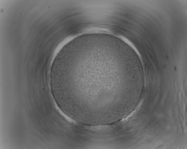 X0000076351437200610161748