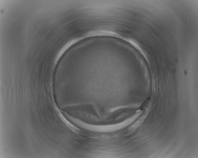 X0000076351438200610161748