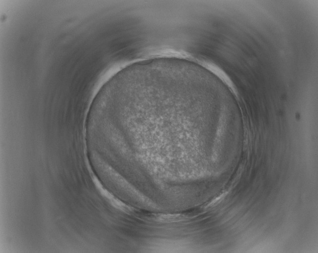 X0000076351439200610161748