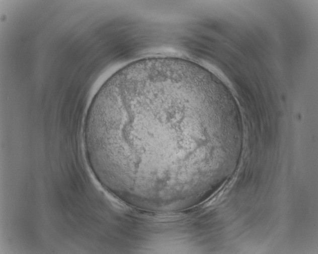 X0000076351440200610161748