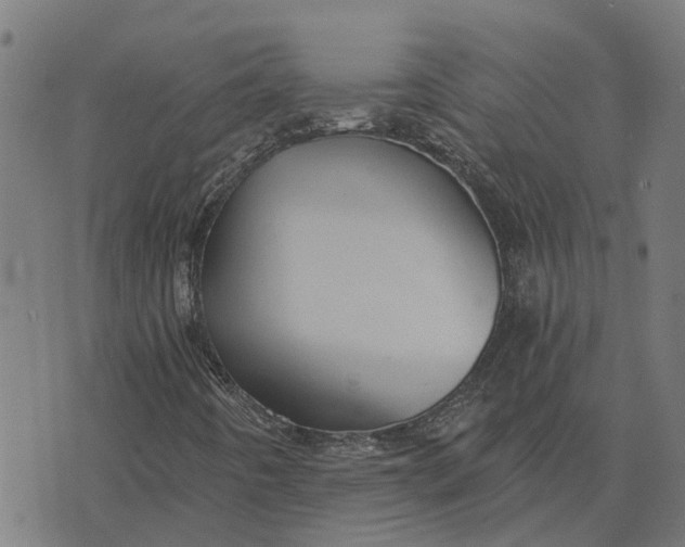 X0000076351442200610161747